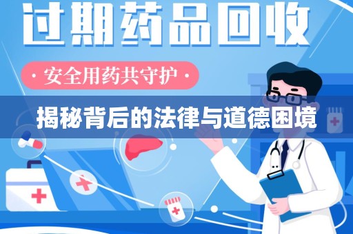 肇庆揭秘背后的法律与道德困境