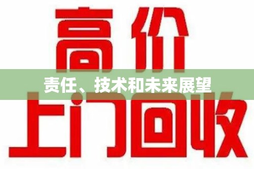 肇庆责任、技术和未来展望