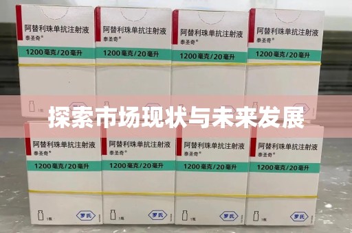 肇庆探索市场现状与未来发展