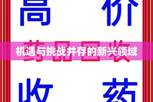 肇庆机遇与挑战并存的新兴领域
