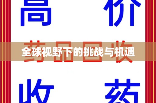 肇庆全球视野下的挑战与机遇