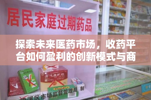 肇庆探索未来医药市场，收药平台如何盈利的创新模式与商业前景