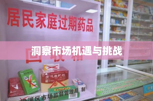 肇庆洞察市场机遇与挑战