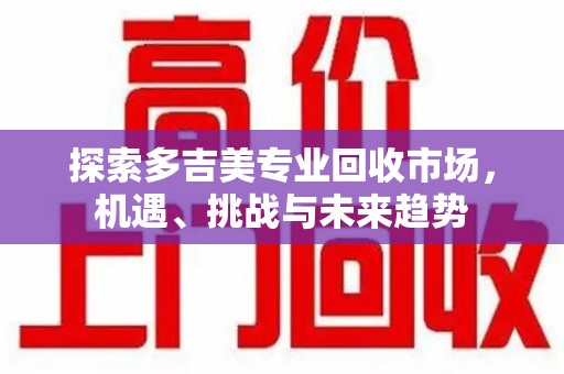 肇庆探索多吉美专业回收市场，机遇、挑战与未来趋势
