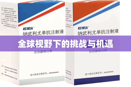 肇庆全球视野下的挑战与机遇