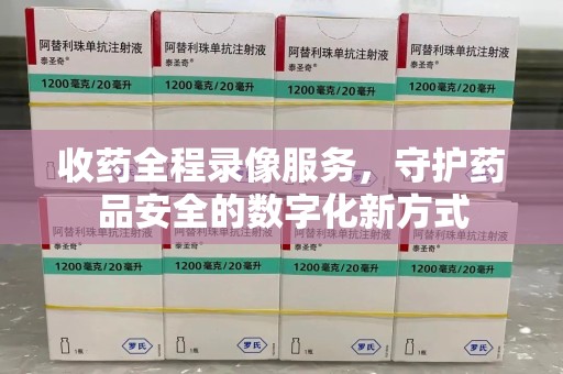 肇庆收药全程录像服务，守护药品安全的数字化新方式
