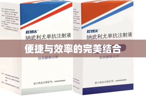 肇庆便捷与效率的完美结合