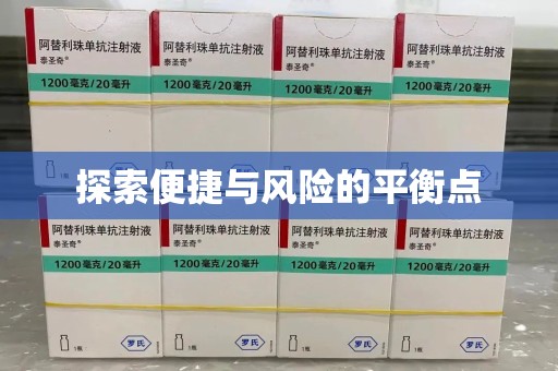 肇庆探索便捷与风险的平衡点
