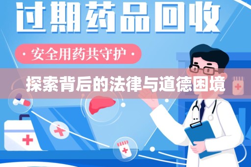 肇庆探索背后的法律与道德困境